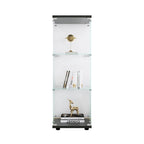 Vitrina de cristal con 3 estantes, vitrinas de curiosidades de una puerta, estantería de cristal negra de pie, instalación rápida